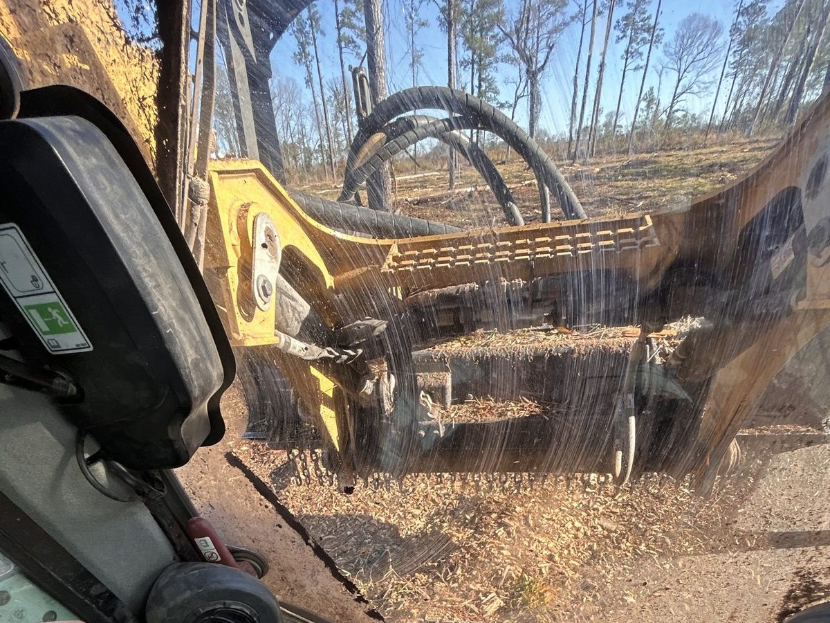 From the cab of a forestry mulcher: the mulching head over a fresh layer of wood chips, with tall pines standing beyond it