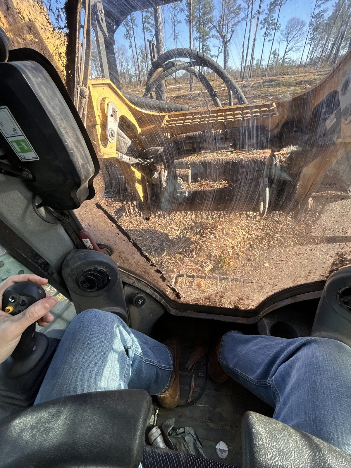 From the cab of a forestry mulcher: the mulching head working through underbrush between standing pines