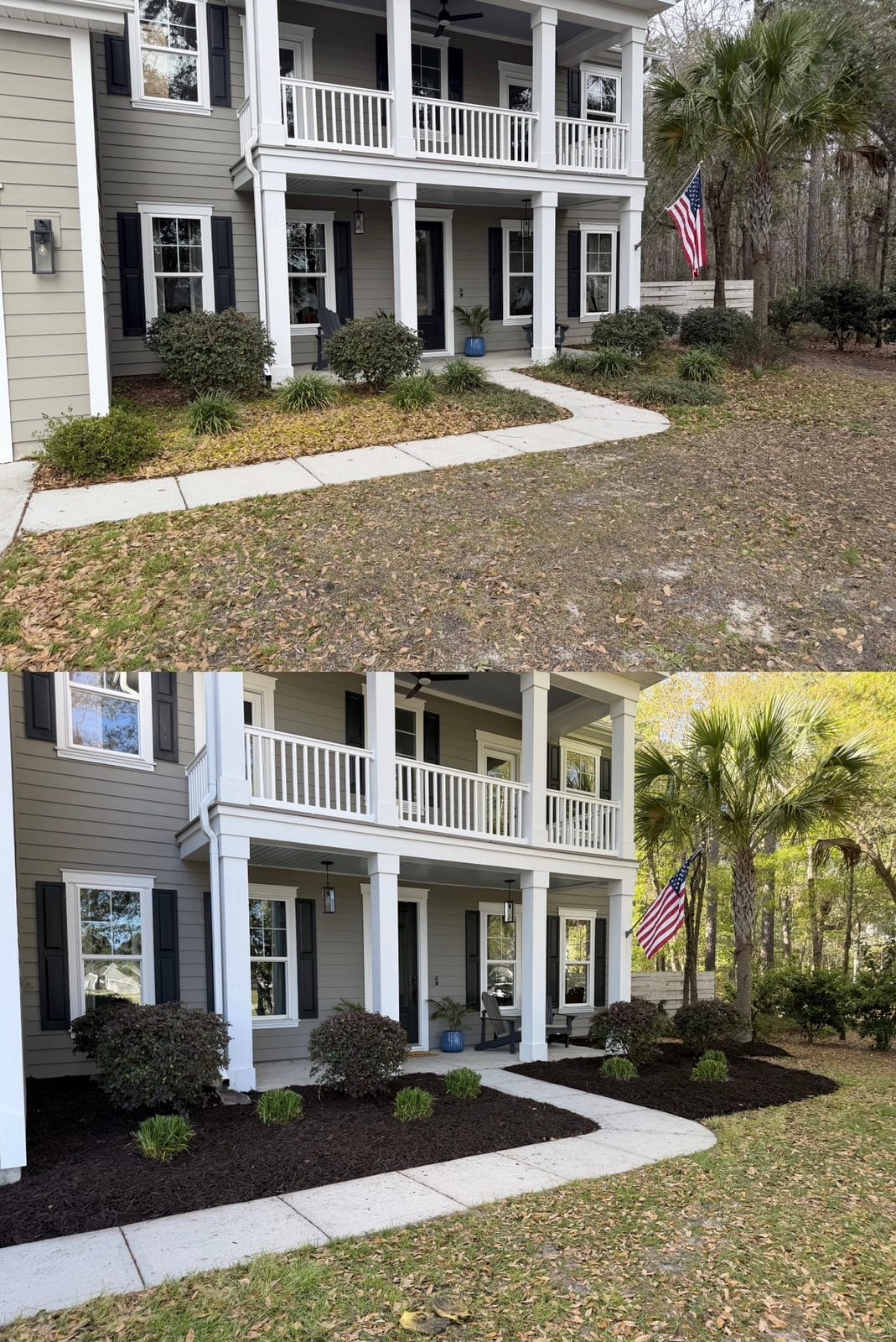 Before and after: overgrown front yard transformed with fresh mulch beds and plantings, Mount Pleasant SC