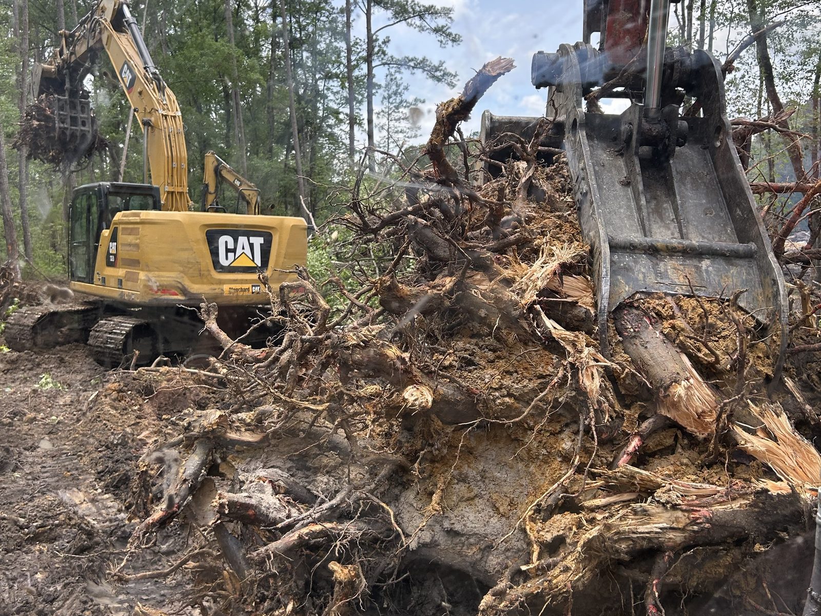 An excavator bucket lifting a stump out of the ground with its whole root ball, a second excavator working behind it